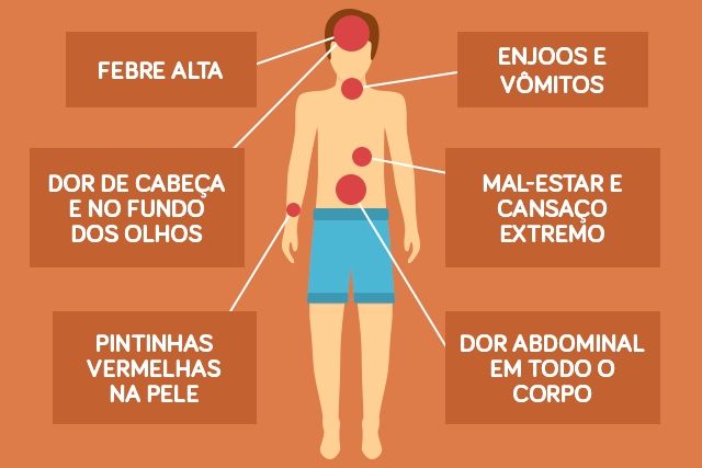 Dengue: causas, tratamento e prevenção · Anatomia de uma leitora